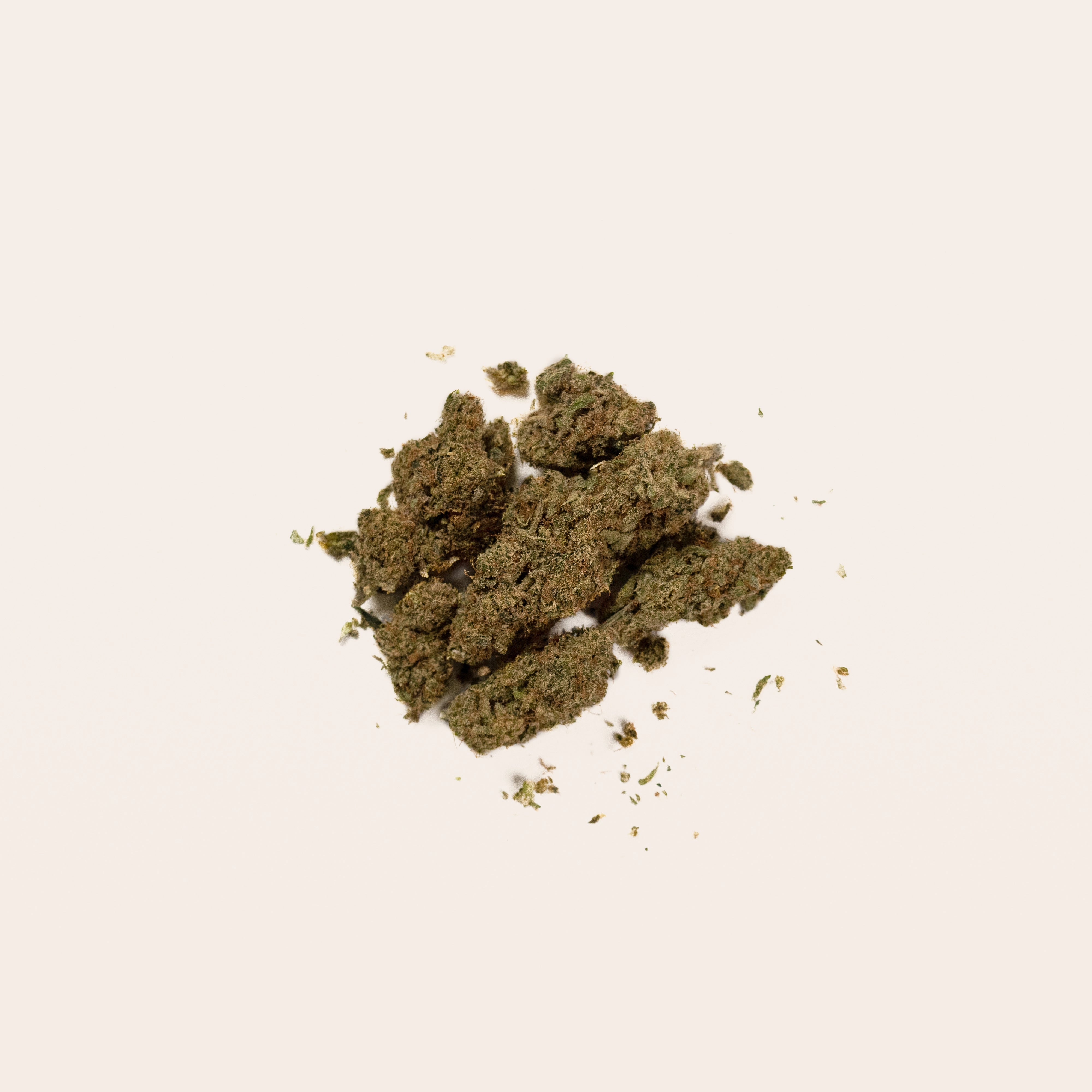 Sugar Queen 2.0 Hemp Flower - Indoor CBD Flower | Mingle